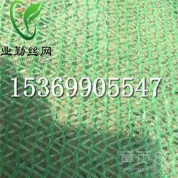綠色聚乙烯蓋土網(wǎng) 沙場(chǎng)煤場(chǎng)抑塵防塵的理想選擇